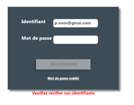 Capture d'écran du champs de saisie contenant: p.nom@gmai.com